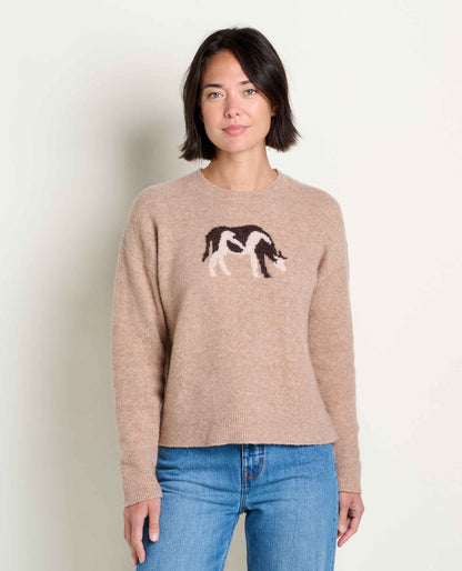 Toad&Co Women's Wasatch Crewneck Wool Sweater - Soft, Never Itchy
