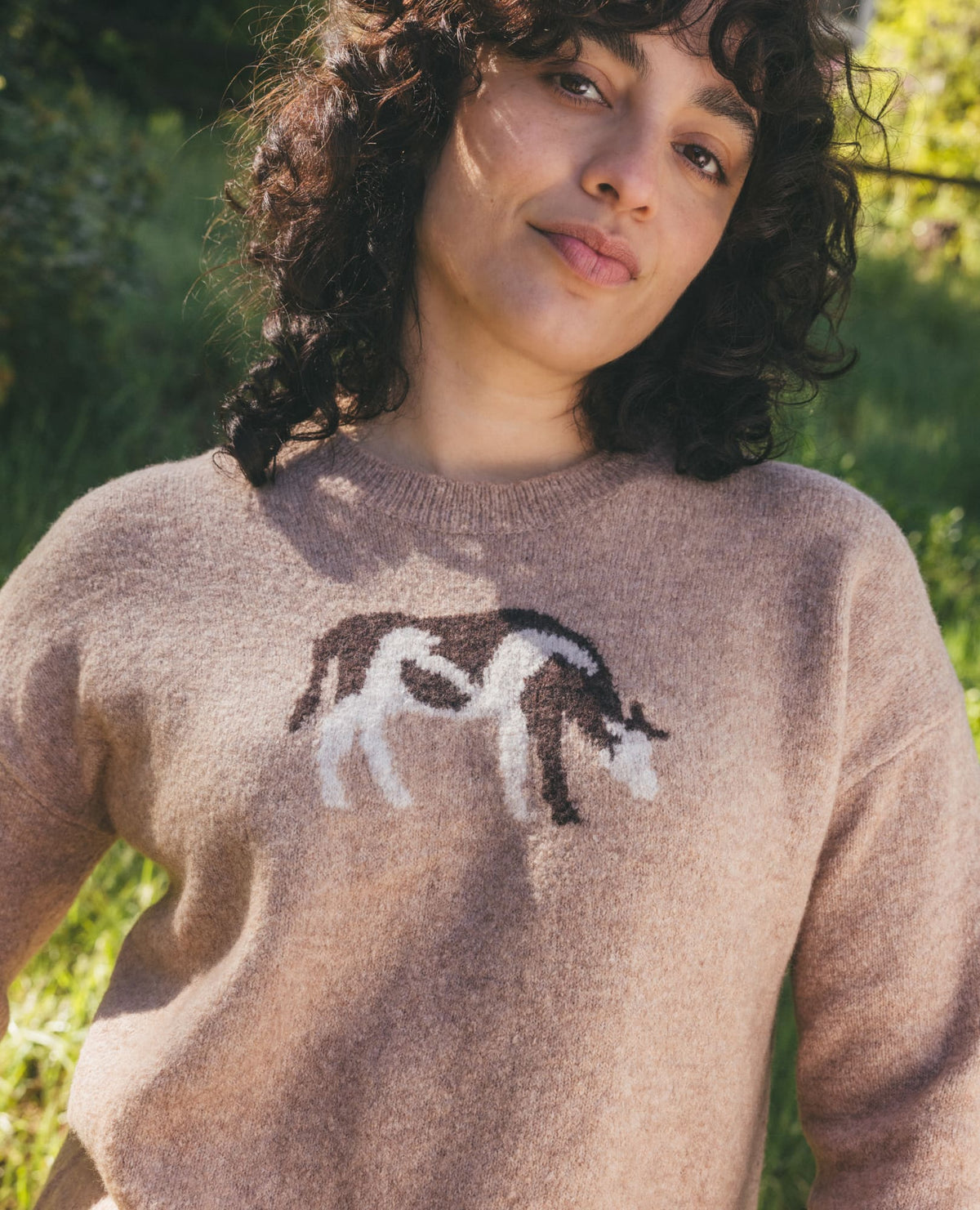 Toad&Co Women's Wasatch Crewneck Wool Sweater - Soft, Never Itchy
