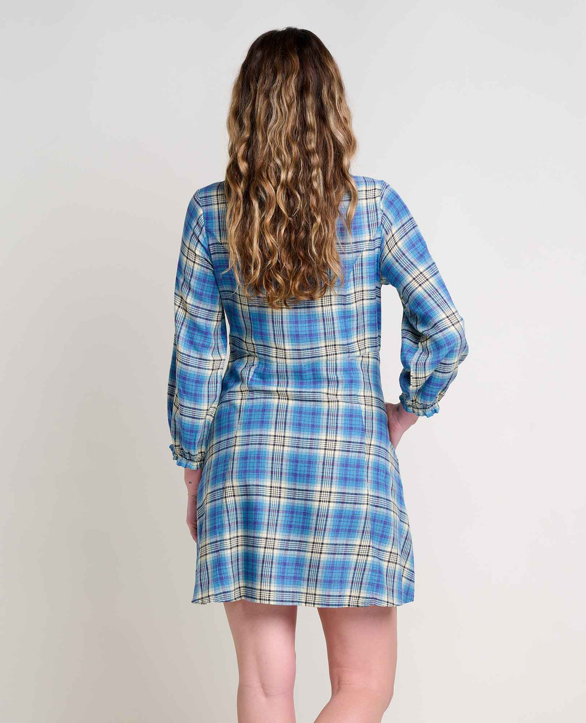 Toad&Co Maple Button Front Dress