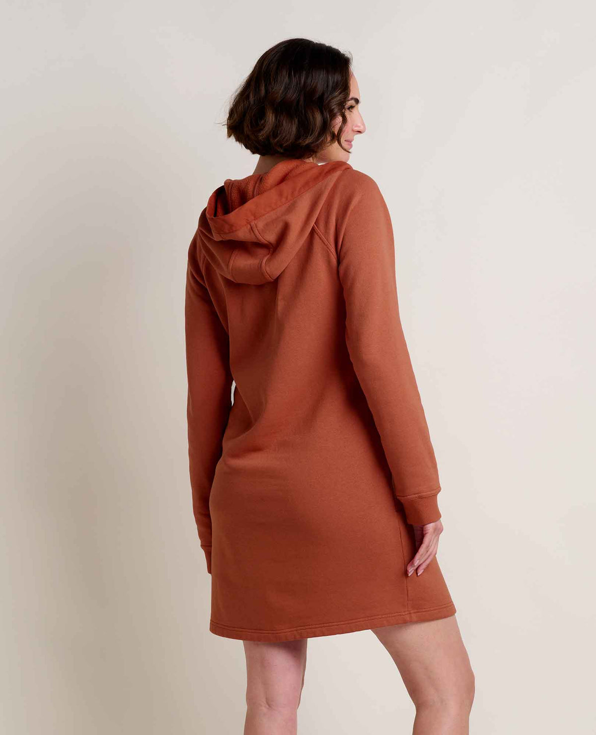 Toad&Co Fernscape Hoodie Dress - Organic Cotton & Hemp Blend